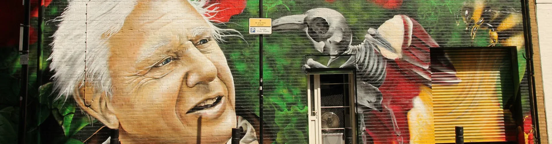A mural of David Attenborough.